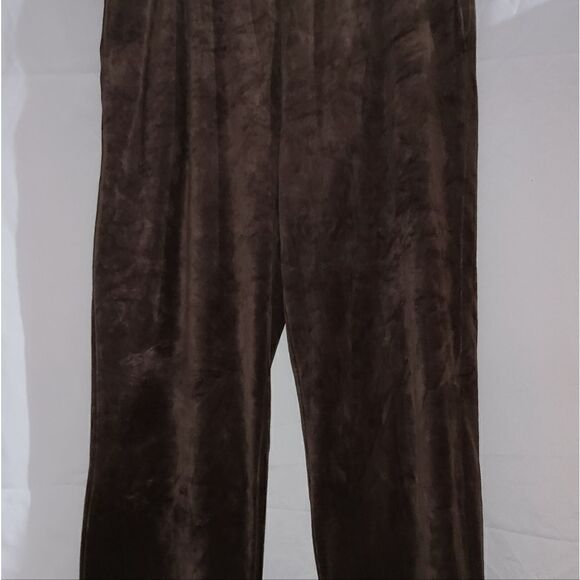Draper's & Damon's Petites Hot Chocolate Brown Pull On Pants Size PXL - Picture 2 of 9